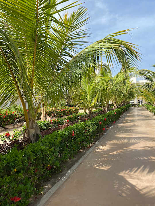 Gartenanlage Hotel Riu Palace Santa Maria