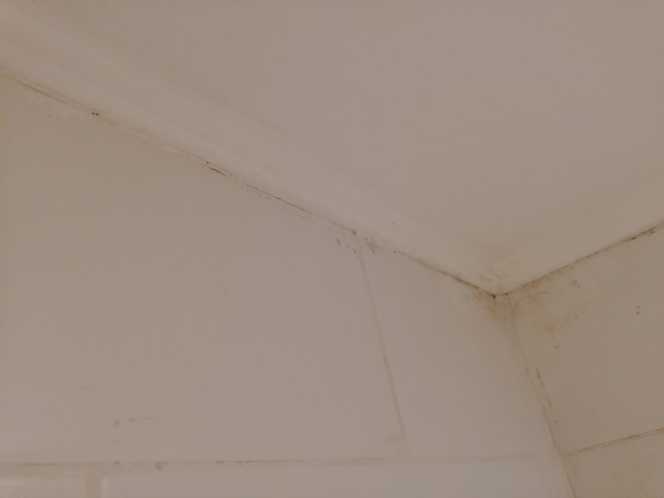 Zimmer Taj Bentota Resort & Spa