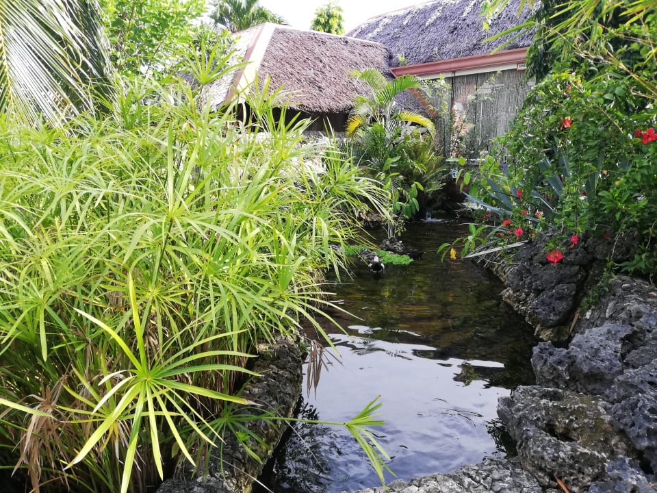 Außenansicht Hotel Dolphin House