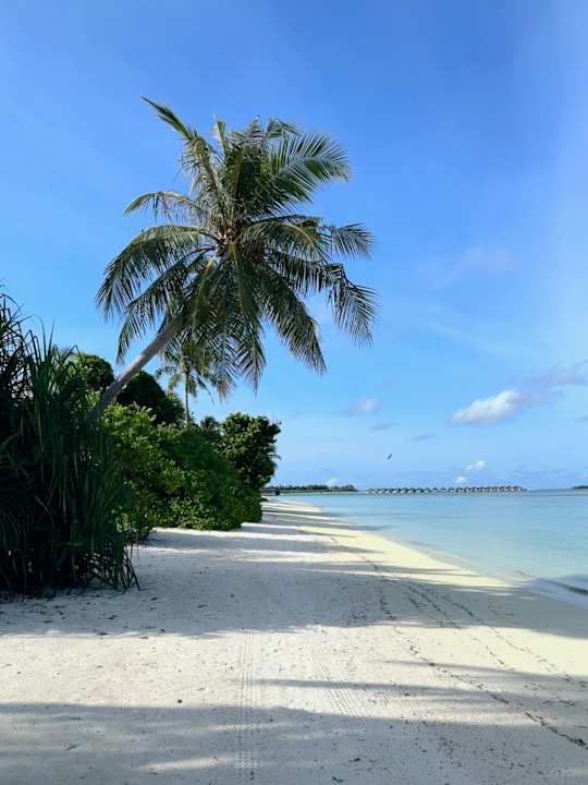 Strand Jawakara Islands Maldives