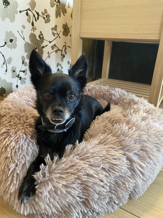 Sonstiges Giardino Marling