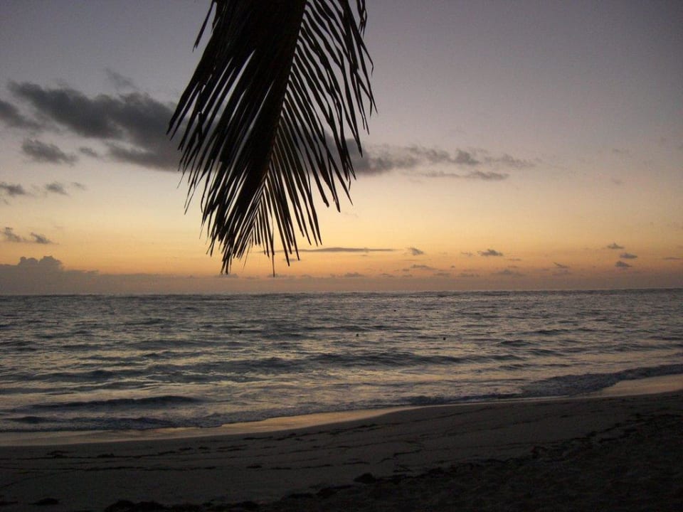 Sonnenaufgang Hotel Riu Palace Punta Cana