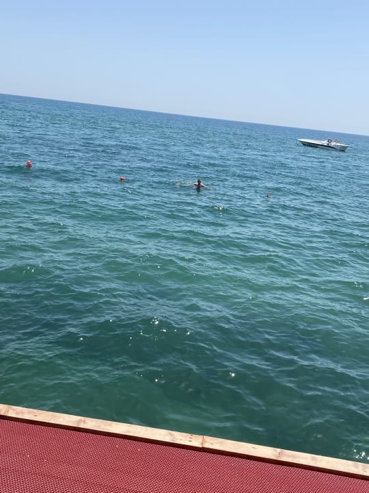 Strand VONRESORT Golden Beach