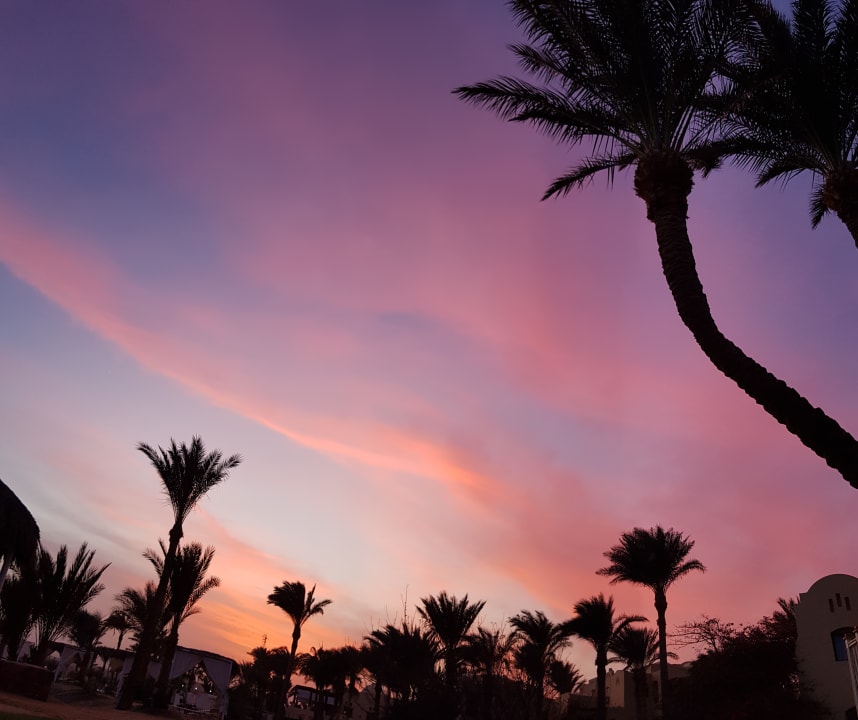 Ausblick Steigenberger Coraya Beach - Adults only