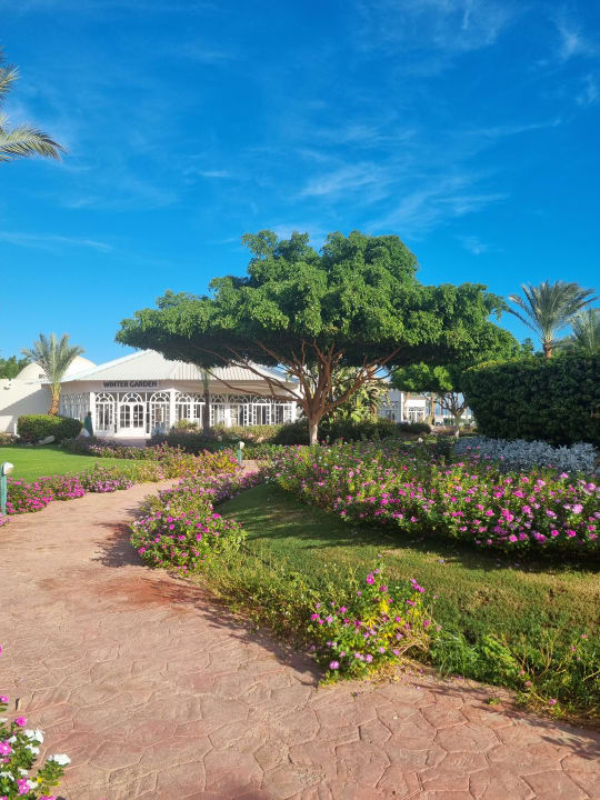 Gartenanlage Desert Rose