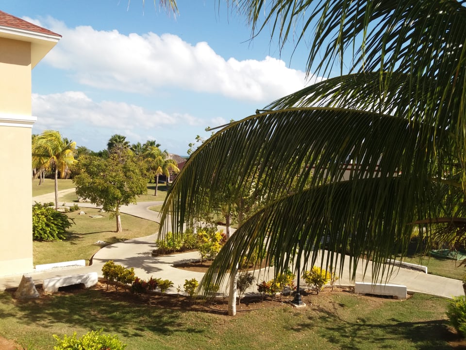 Ausblick Iberostar Origin Laguna Azul