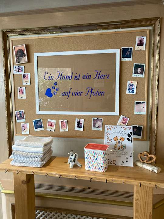 Lobby Sure Hotel by Best Western Rhoen Garden