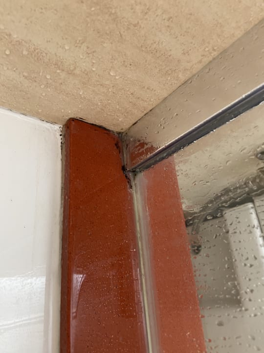 Zimmer Bull Costa Canaria & Spa - Adults only