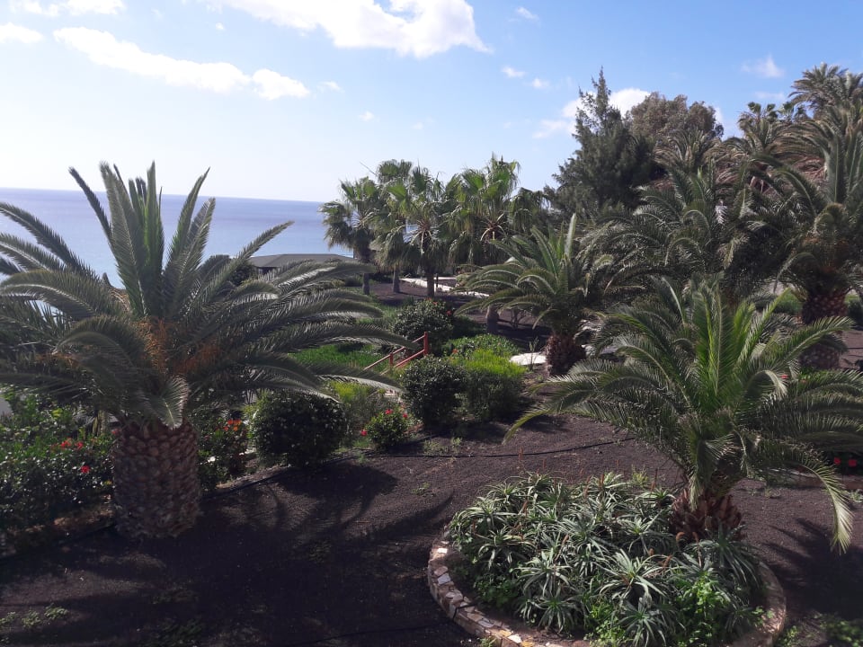 Gartenanlage Marina Playa Suite Hotel