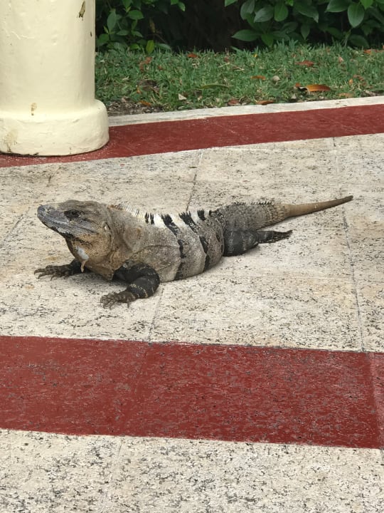 Sonstiges Bahia Principe Grand Coba