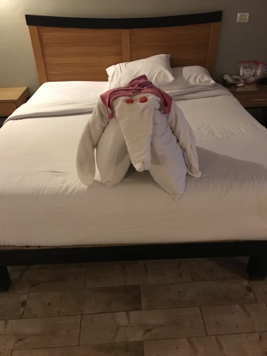 Zimmer Prima Life Makadi Resort