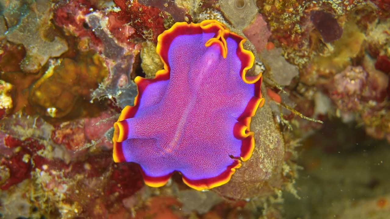 Sport & Freizeit Tompotika Dive Lodge