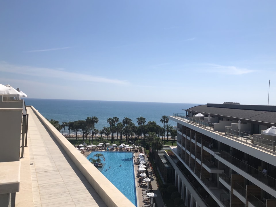 Zimmer Acanthus Cennet Barut Collection