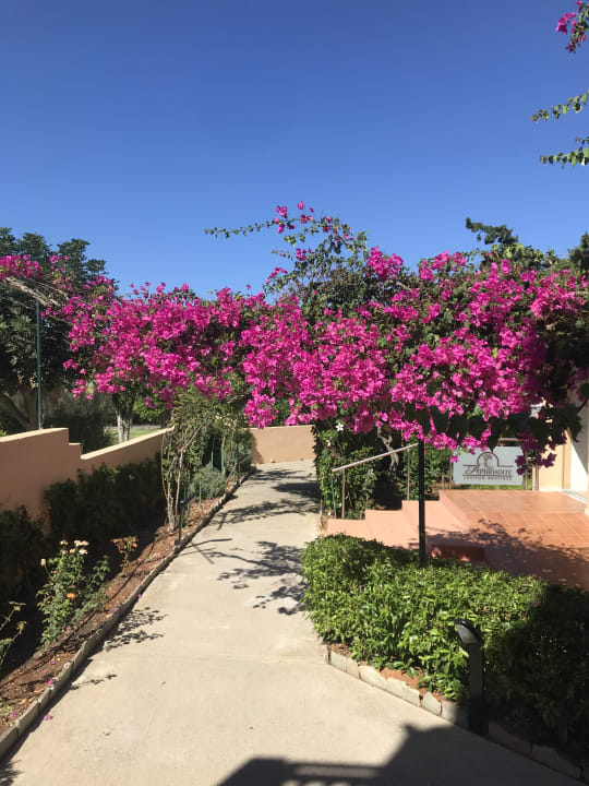 Gartenanlage Anissa Beach & Village