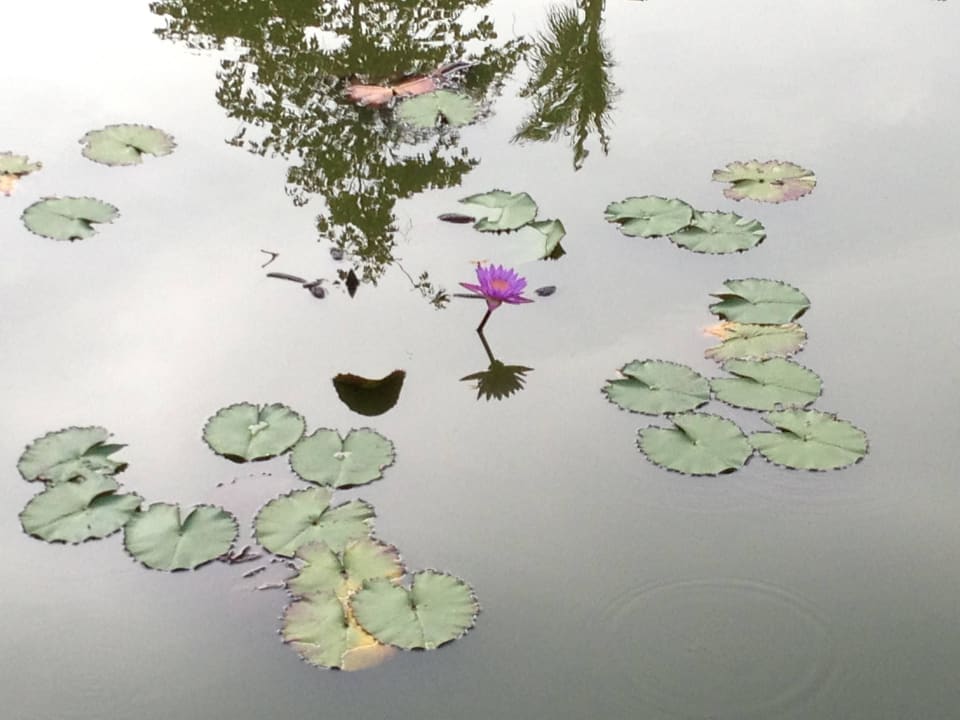 Staw Santhiya Koh Phangan Resort & Spa