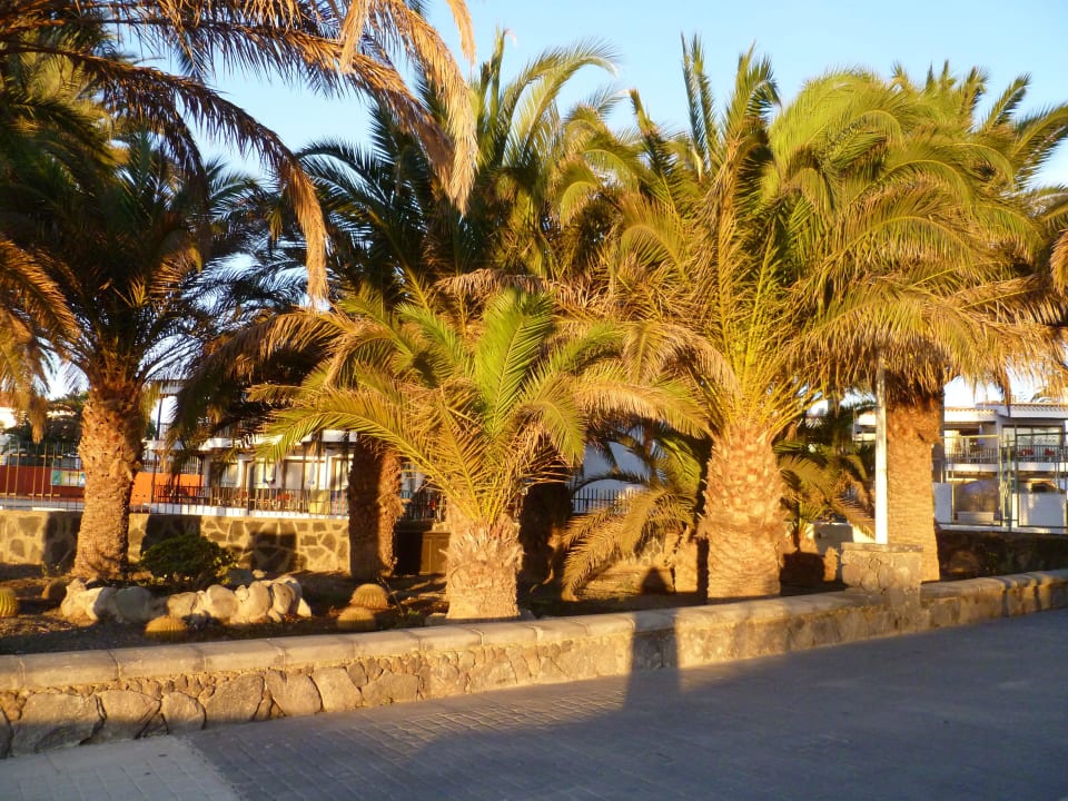 Zum Casas Pepe Casas Pepe Apartments & Spa- Adults Only