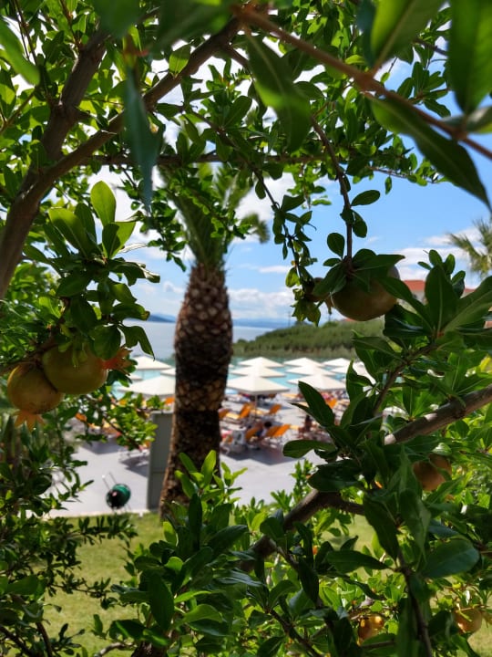 Ausblick Akrathos Beach Hotel