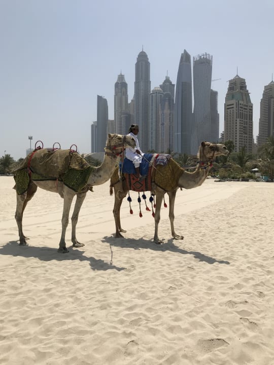 Strand Le Royal Méridien Beach Resort & Spa Dubai