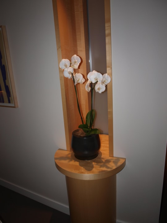 Doppelzimmer The Ritz-Carlton Wolfsburg