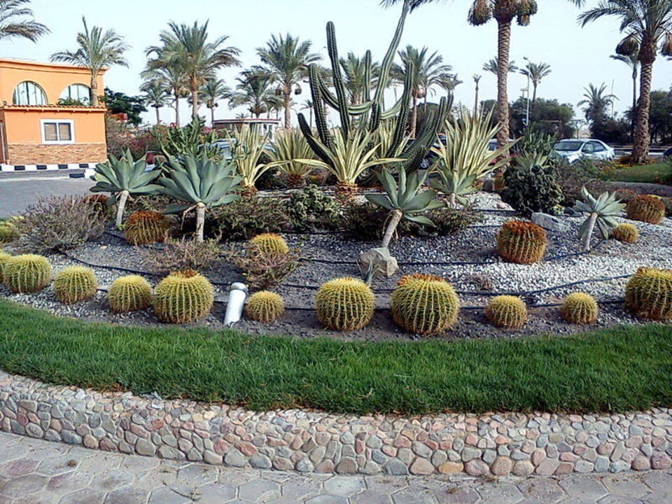 Vorm Hotel Golden Beach Resort