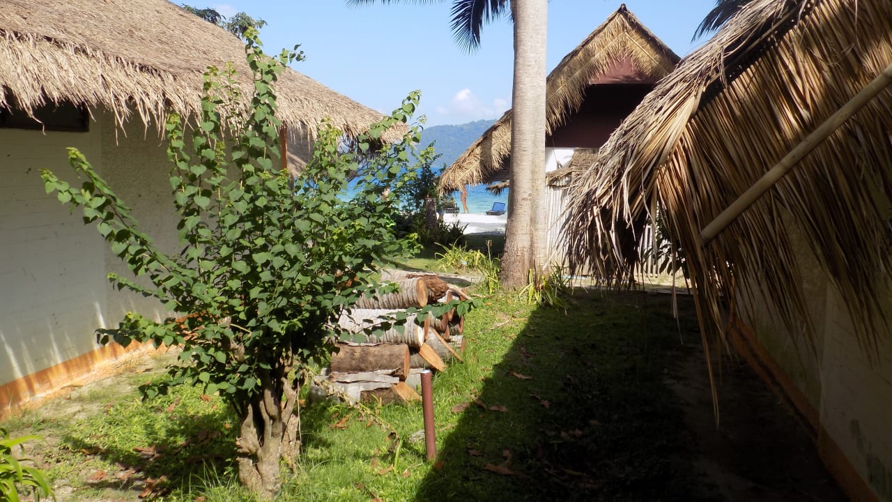 Gartenanlage Hotel Coral Island Resort