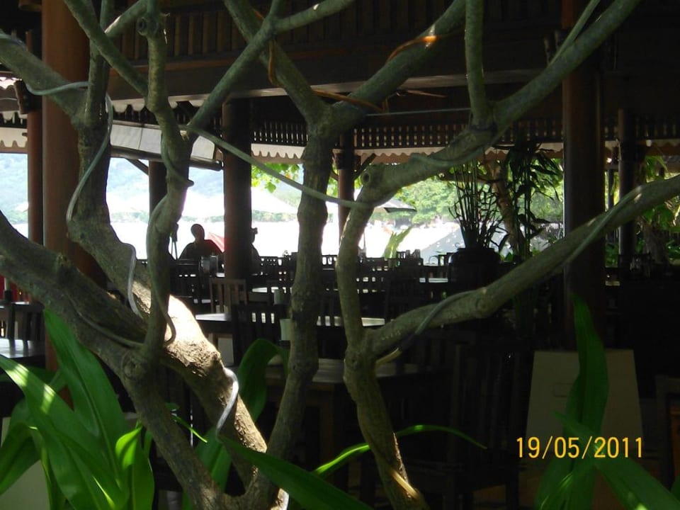 Restaurant direkt am Strand Hotel Baan Chaweng Beach Resort & Spa