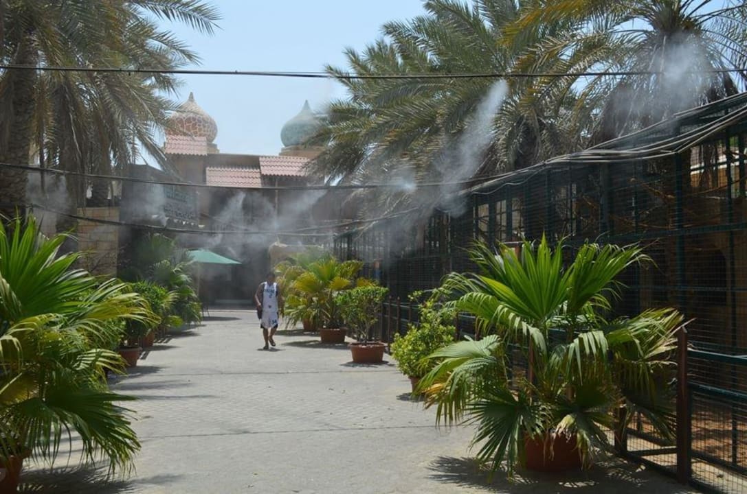 Zoo Hotel Emirates Park Resort