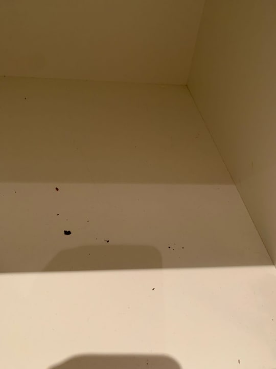 Zimmer H+ Hotel Köln Brühl