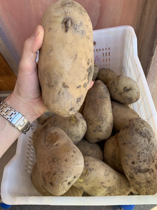 Gastro The Land of Legends Kingdom Hotel