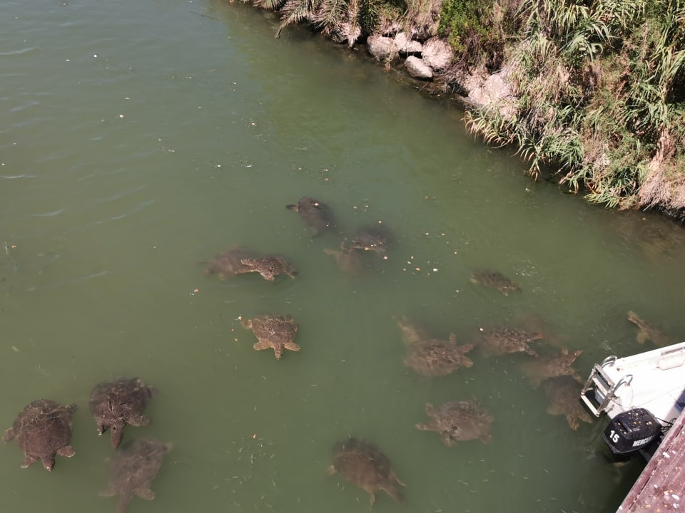 Sonstiges Aydinbey Kings Palace & Spa