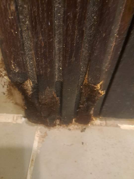 Zimmer Coral Sun Beach