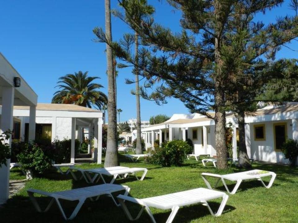 Gartenbereich Hotel Tajaraste