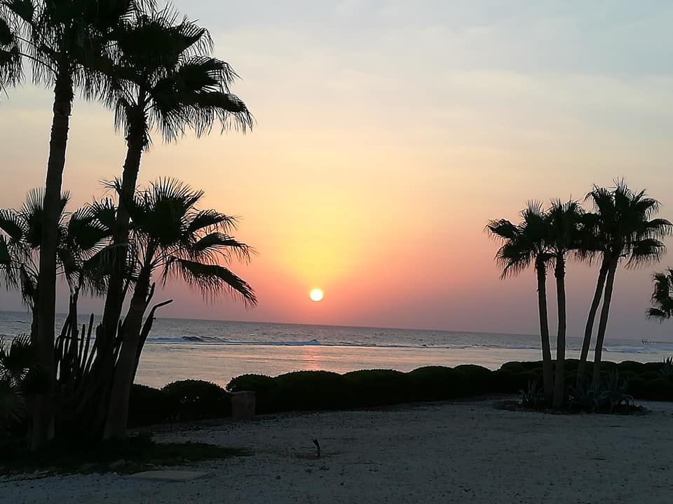 Ausblick Mövenpick Resort El Quseir