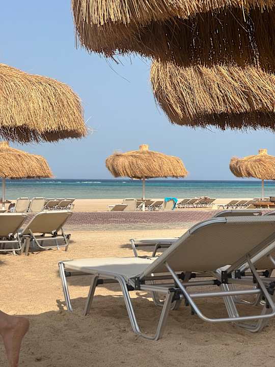 Strand JAZ Elite Asteria