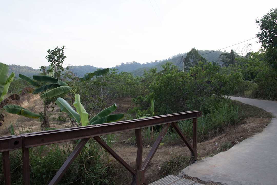 Droga do hotelu Green Bamboo Lodge Resort