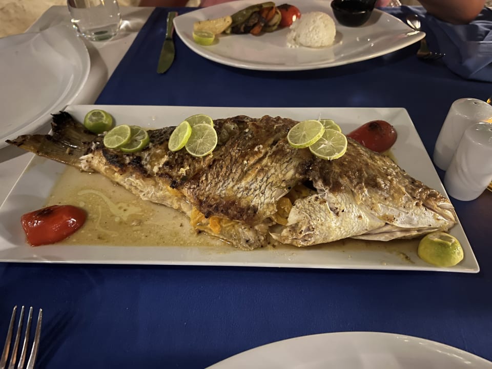 Gastro Makadi Spa - Adults only