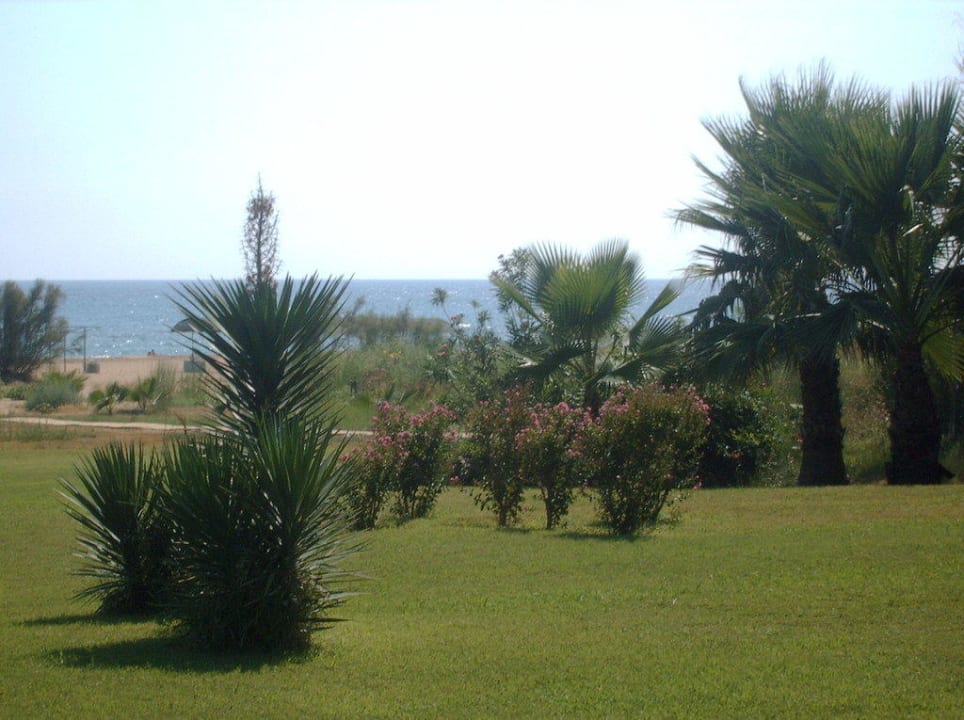 Weg vom Hotel zum Meer Royal Atlantis Beach Hotel