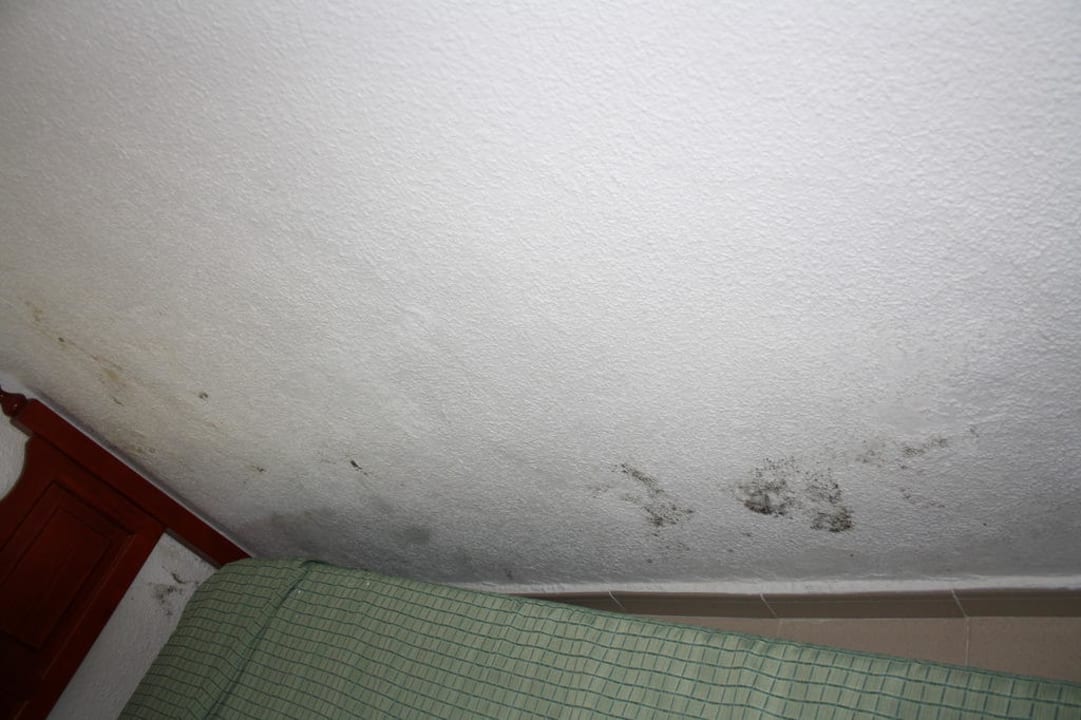 Schimmel (Kinderbett) Flipflop Cala Romantica