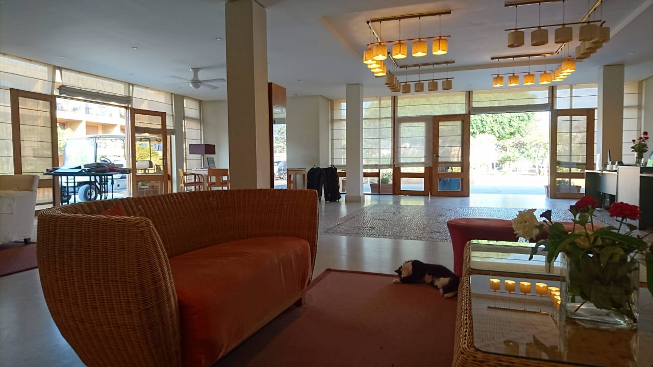 Lobby mit Lobbykater Kernos Beach Hotel & Bungalows