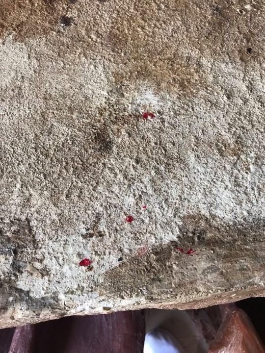 Zimmer Hotel Caves Beach Resort (Adults Only)