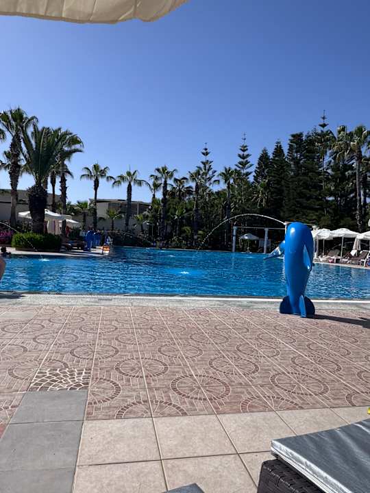 Pool Hotel Botanik Platinum