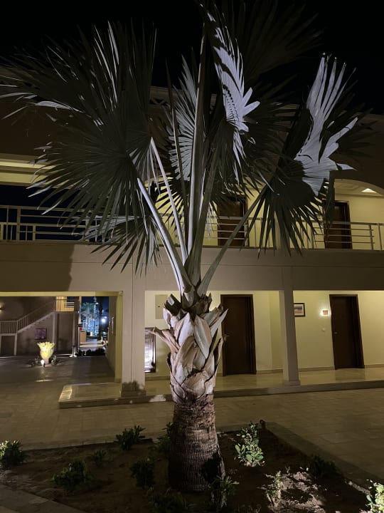 Sonstiges Beach Albatros Resort