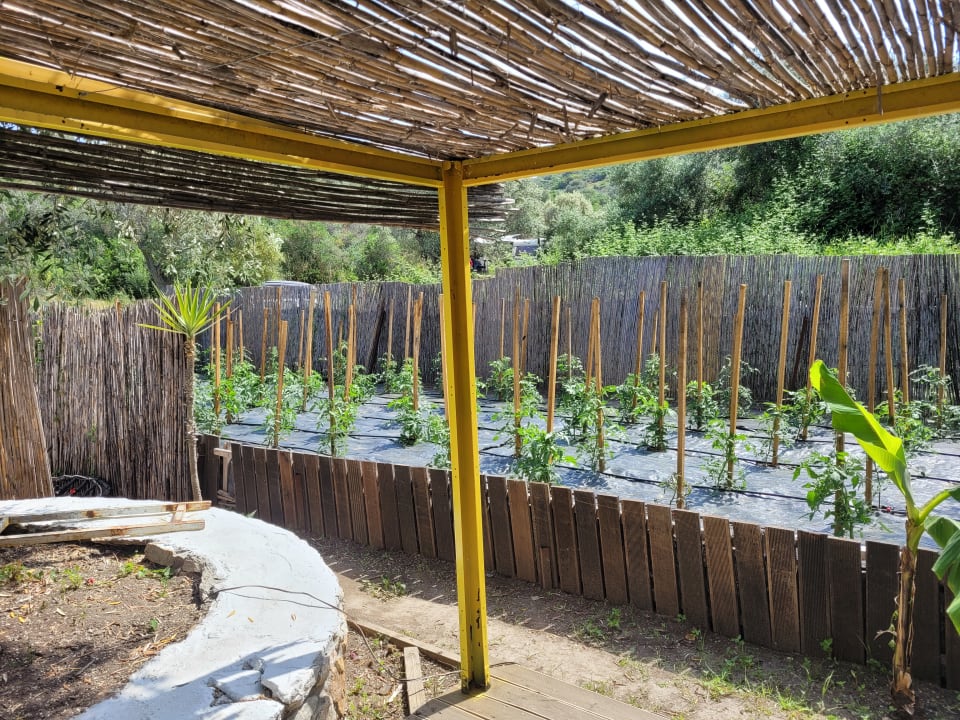 Ausblick Akrathos Beach Hotel