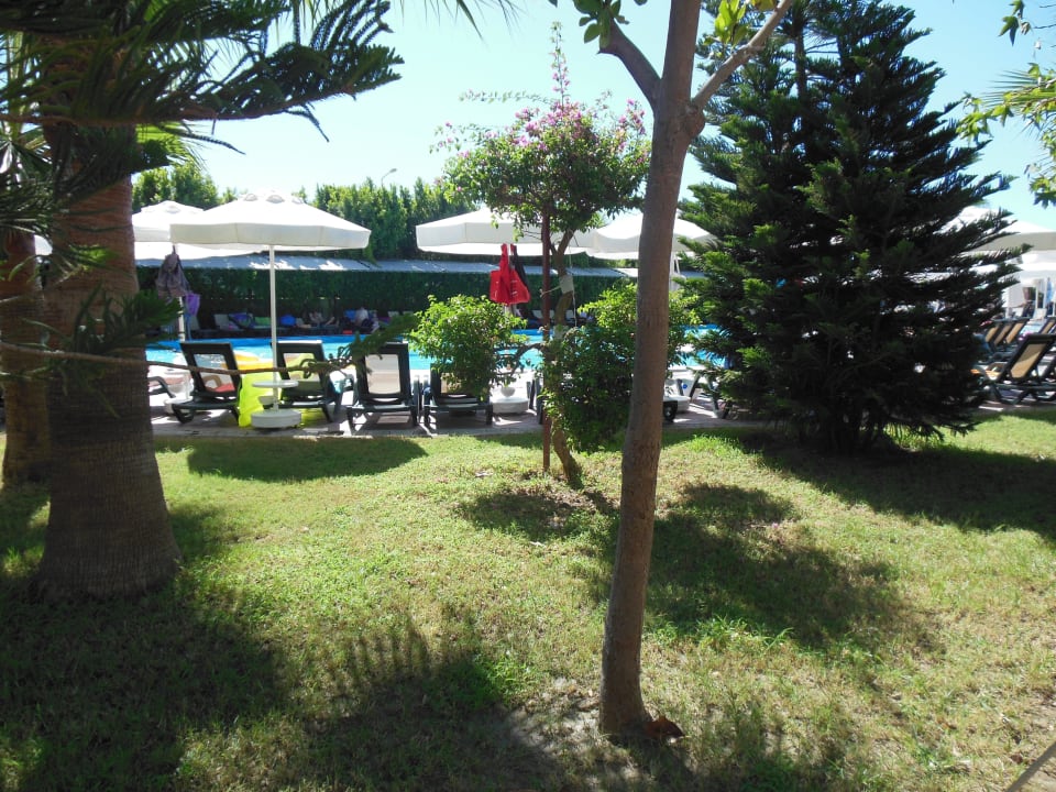 Poolanlage Hane Family Resort