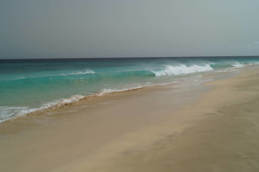 Na spacerze Oasis Salinas Sea