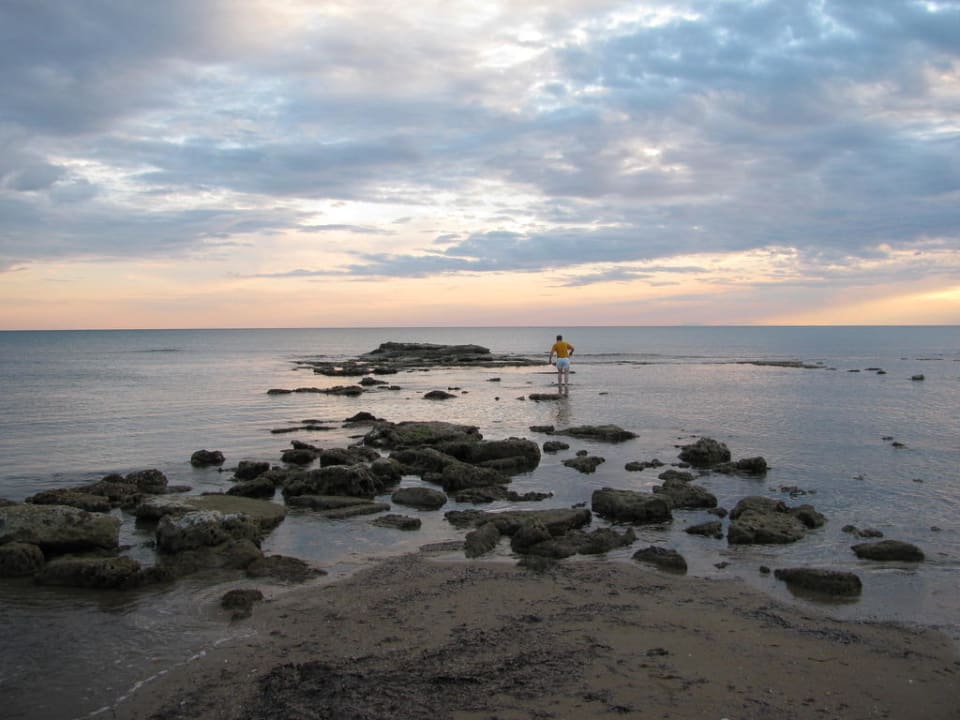 Sonnenuntergang Arum Barut Collection