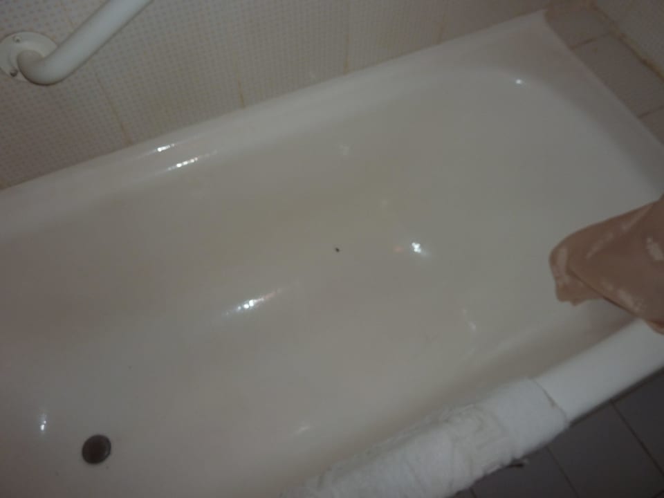 Braun anstatt Weiss Ghazala Gardens