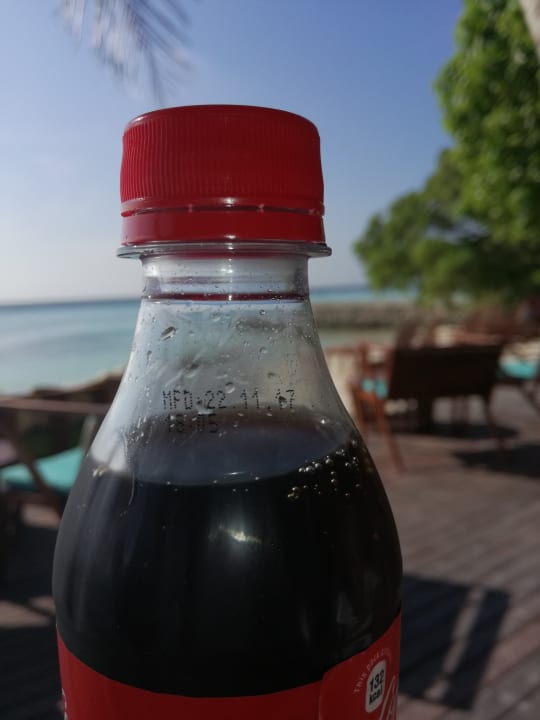 Gastro Summer Island Maldives