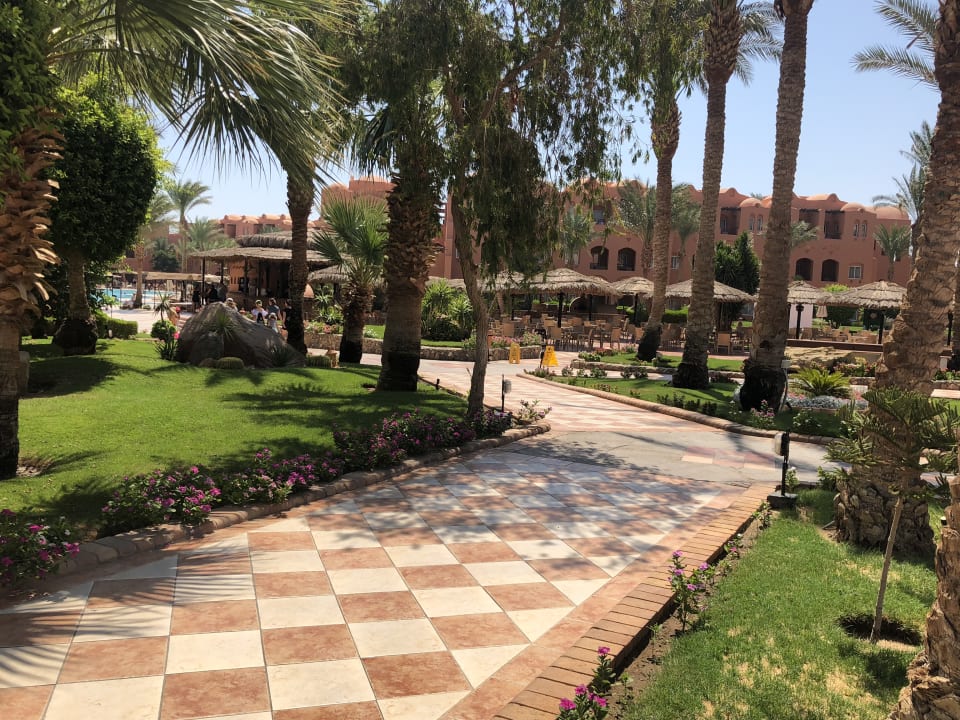 Gartenanlage Jaz Makadi Oasis Resort