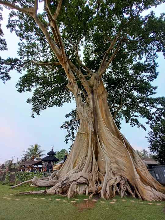 Sonstiges Griya Santrian Beach Resort & Spa